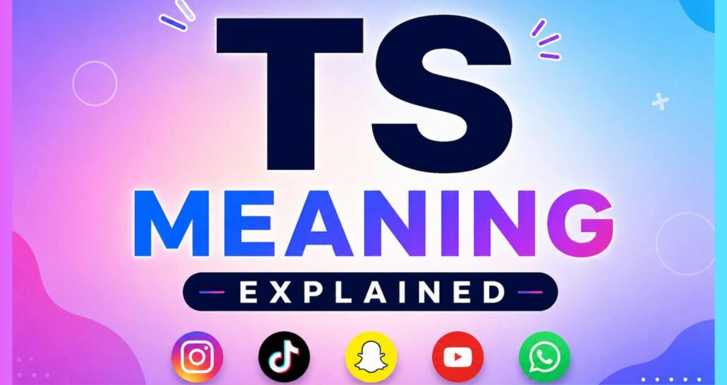 TS meaning
