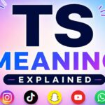 TS meaning