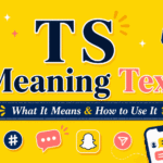 TS Meaning Text
