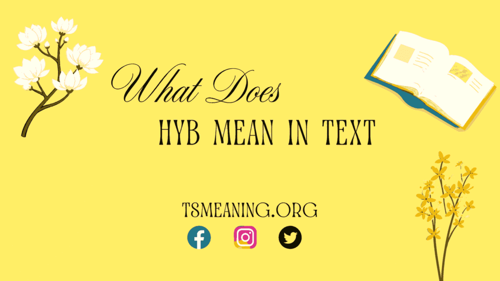 What Does HYB Mean in Text?
