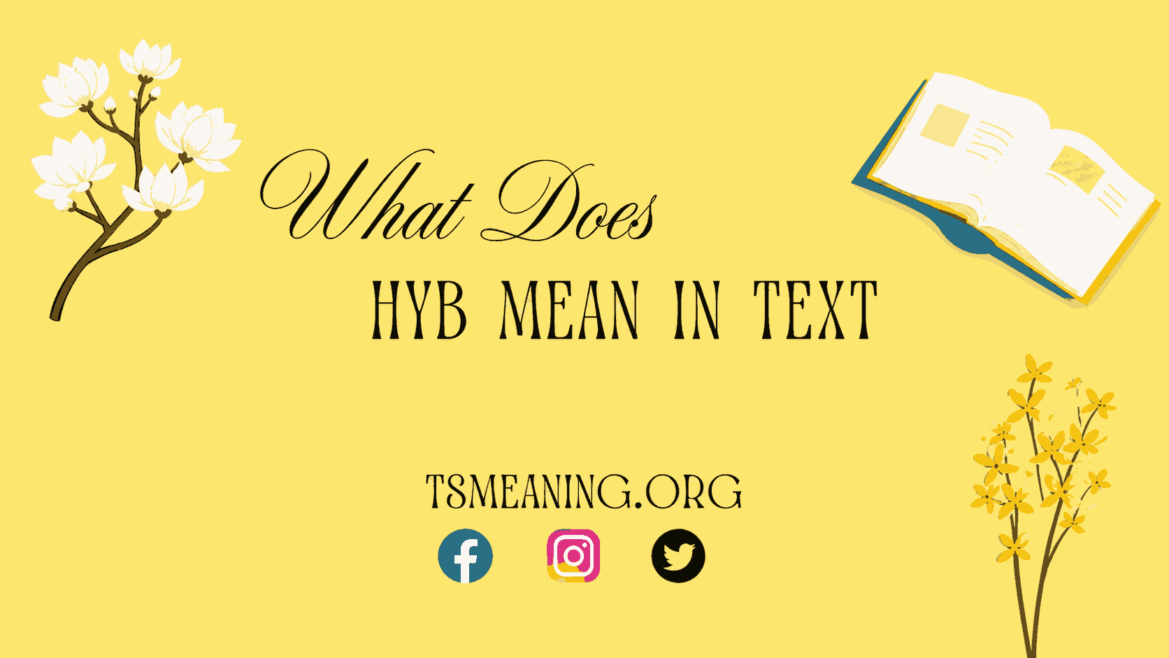 What Does HYB Mean in Text?